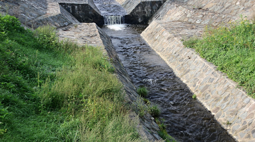 Yard Drainage Techniques
